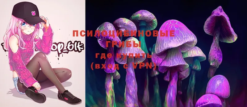 Галлюциногенные грибы Psilocybe  ссылка на мегу ССЫЛКА  Воскресенск  где продают  